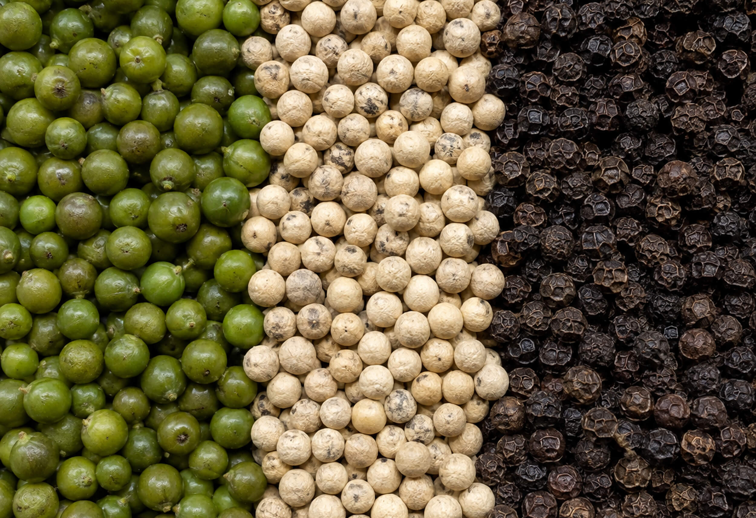 White Pepper